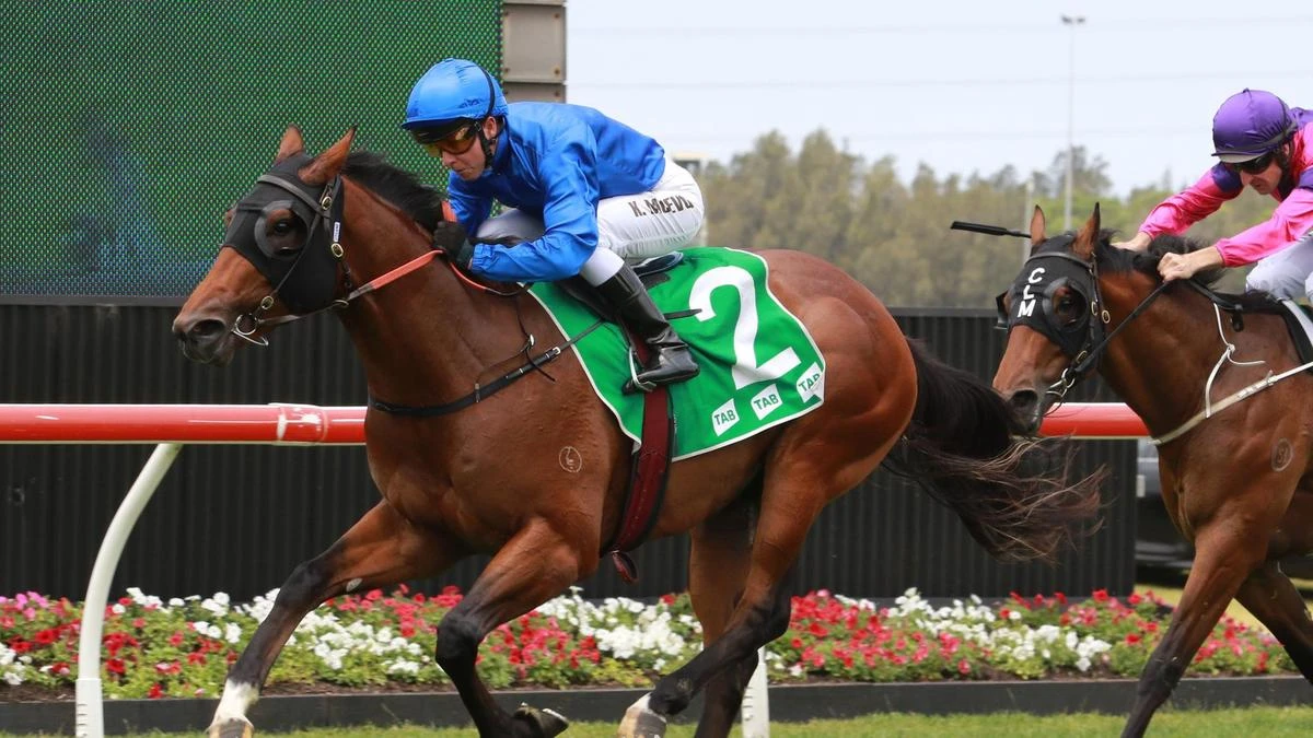 Davo’s tips: Up and comer is a Great chance again