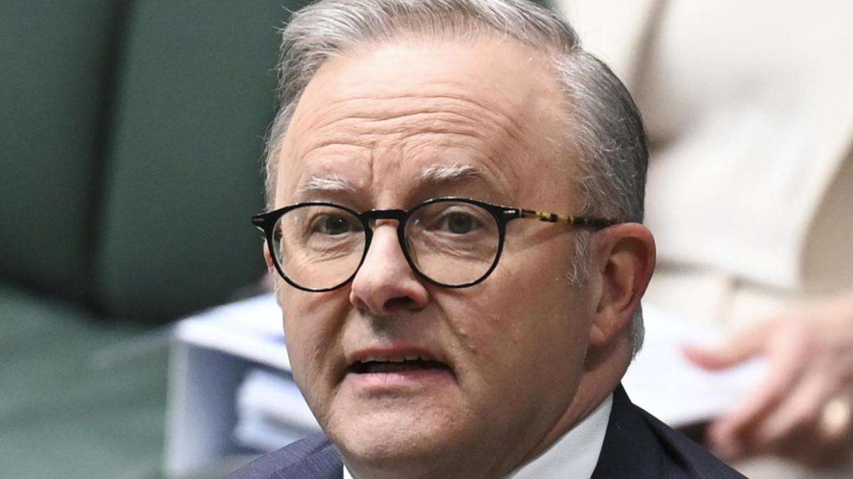 ‘Property investor’ Albo blasted on housing