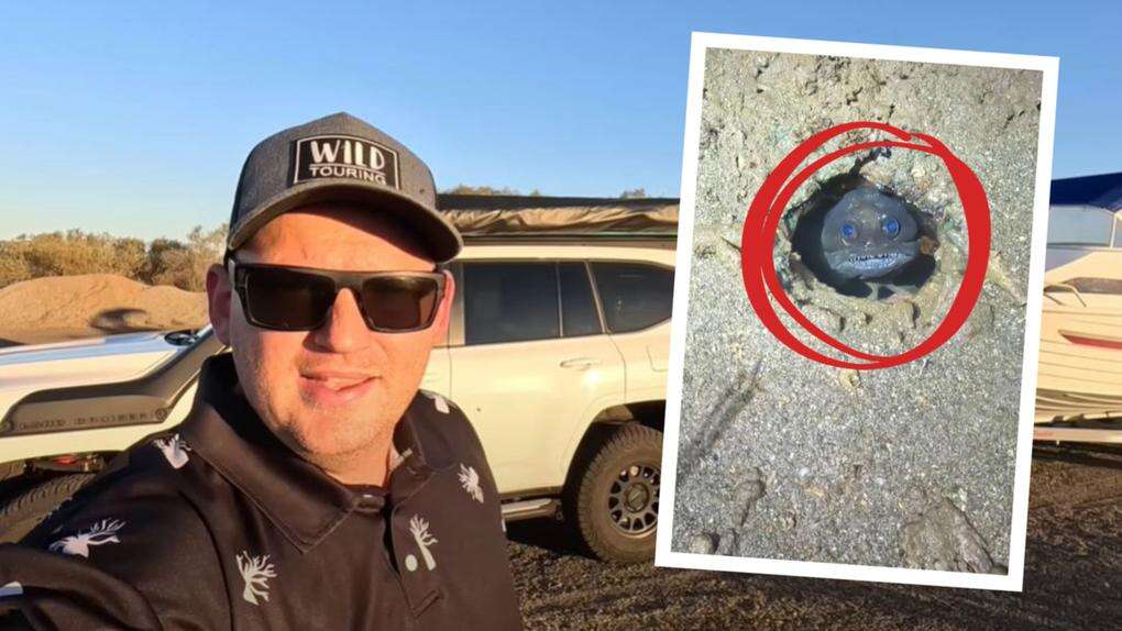 Adventurer’s horrifying discovery while camping in WA