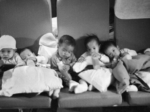 Poignant salute to tragic heroes of historic 'babylift'