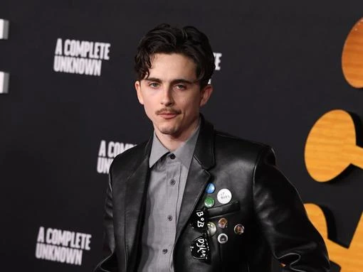 Timothée Chalamet to be celebrated at Italian Oscars