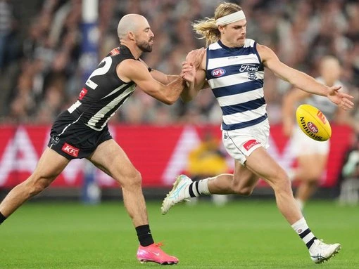 Smith has dig at Bulldogs after Cats' epic AFL win