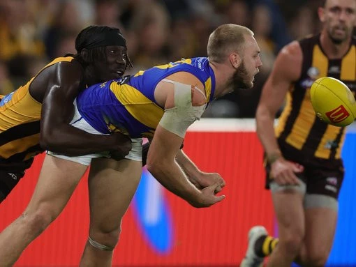 Allen set to remain down back for Melbourne clash
