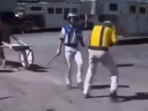 WATCH: Harness driver suspended after whipping rival
