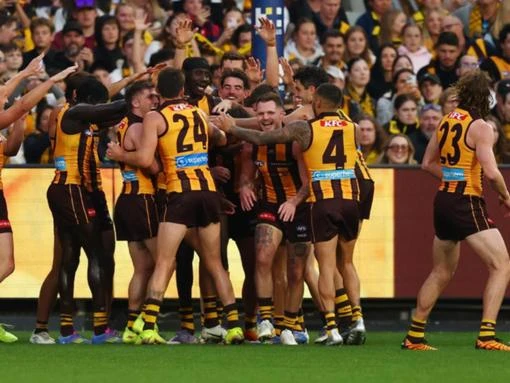 Clarko back as Hawks mark centenary with Tiger mauling
