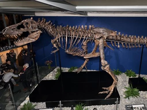 T-Rex leather handbags could soon be available in shops