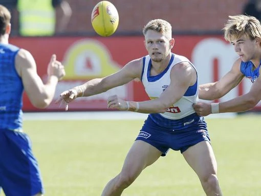 ‘Move away from it’: Dogs want distance from Jamarra