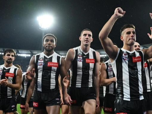 Geelong coach can't find flaws in Collingwood