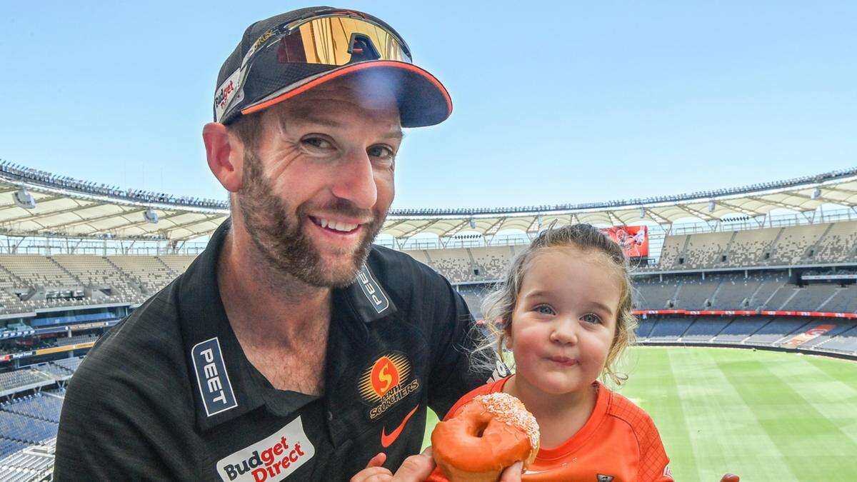 Scorchers eye crowd record amid orange food revolution