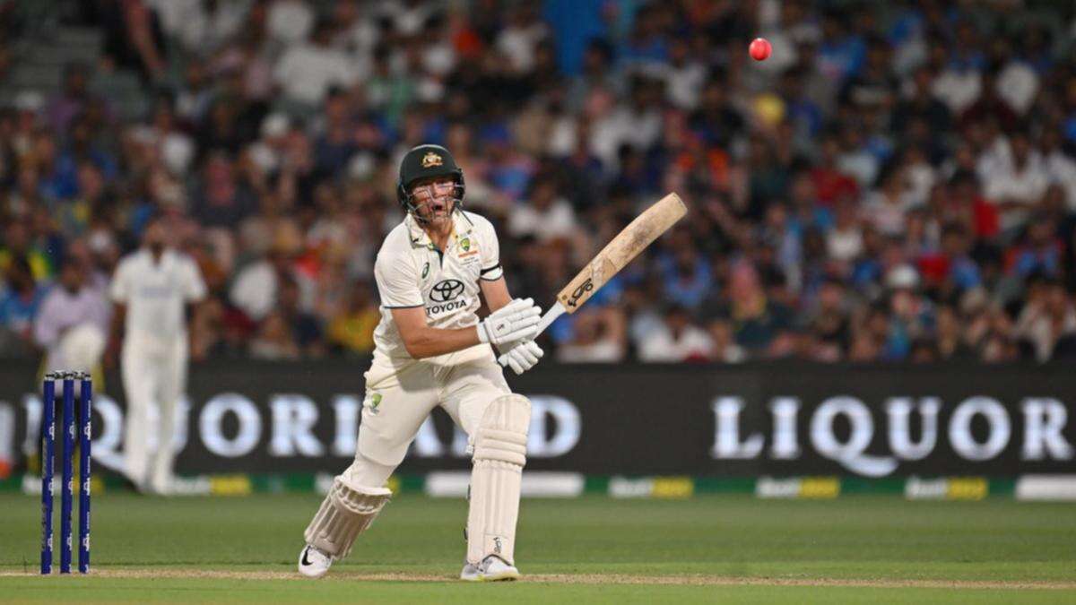 Labuschagne keeps wolves at bay with feisty knock