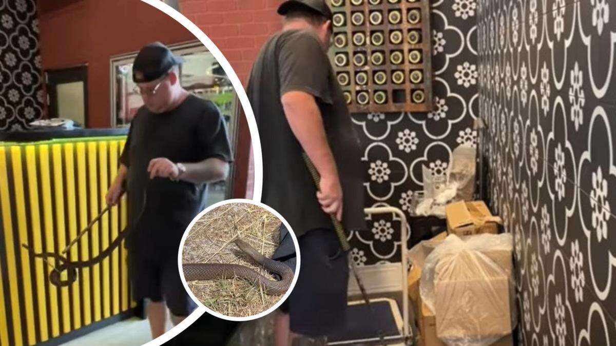 Deadly snake spotted at busy Perth shopping complex