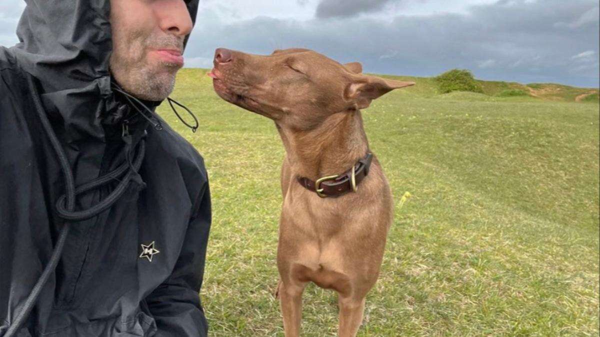 Liam Gallagher receives PETA Award for adopting rescue dog Buttons