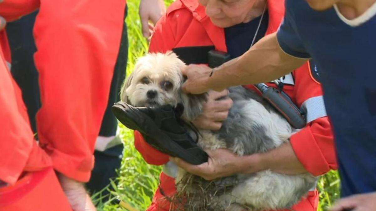 ‘Miracle’: Woman found after 3 day search