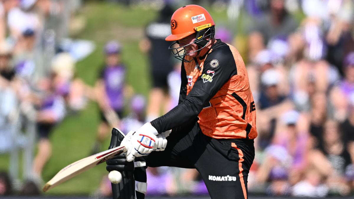 Confidence not an issue for Scorchers as Renegades await