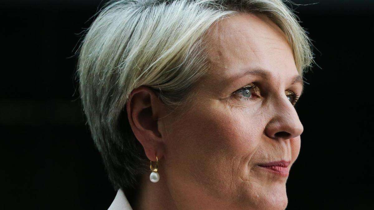 Outrage over Plibersek’s coal mine move