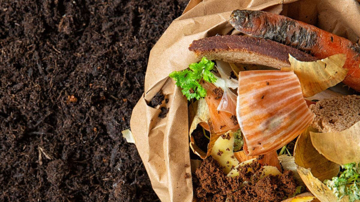 Kill food waste anxiety and gift your garden Xmas compost