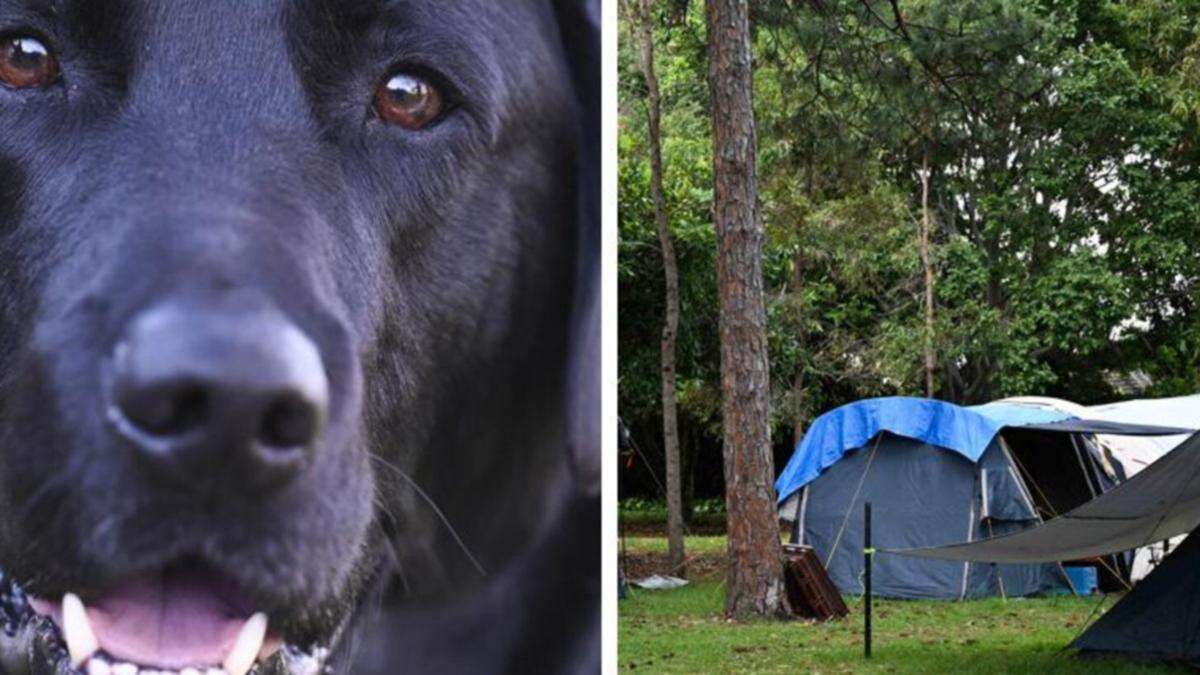 Council’s brutal call on homeless Aussies