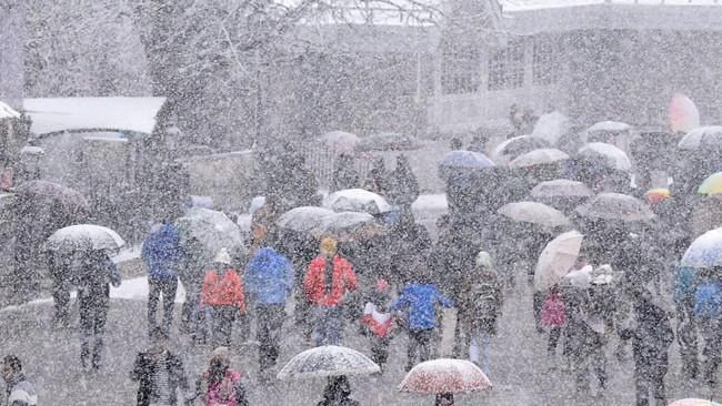 Warning issued against eating fresh snow