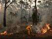 Aussie film shows global warming is changing childhood