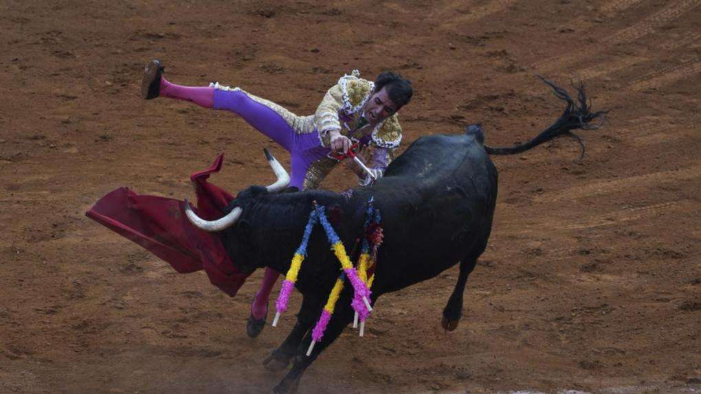 Mexico City bans violent bullfighting amid protests