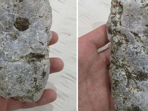 Dad’s incredible find on Aussie beach