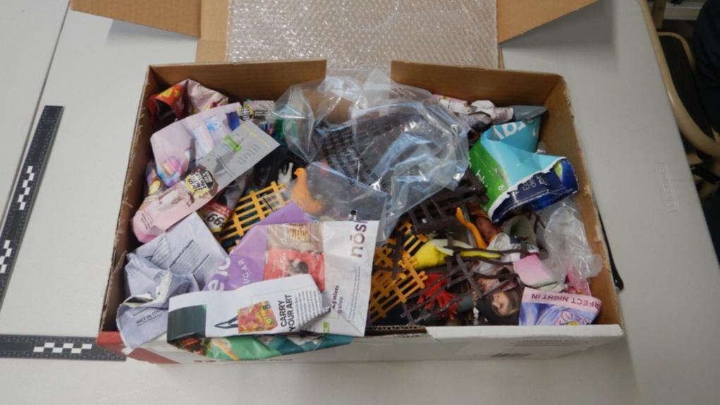 Foreign student jailed over shocking find in mail