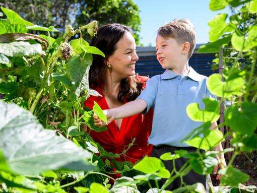 AI giant helping grow greenhouses in Australian schools