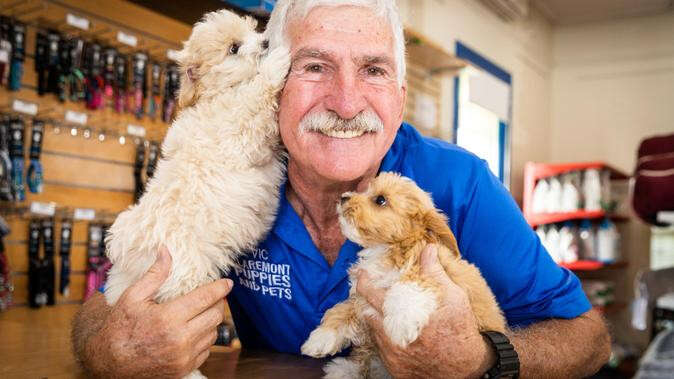 Perth Now exclusiveEnd of era for Perth’s puppy shops as new reforms approved