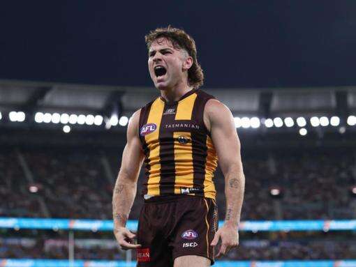 Hawks outclass Bombers to extend unbeaten AFL start