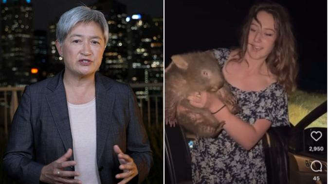 Minister weighs in on influencer who snatched baby wombat