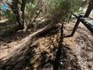 Cops probe four suspicious fires in southern suburbs