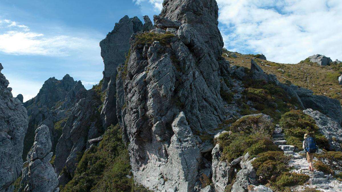 Third bushwalker dies in horror week