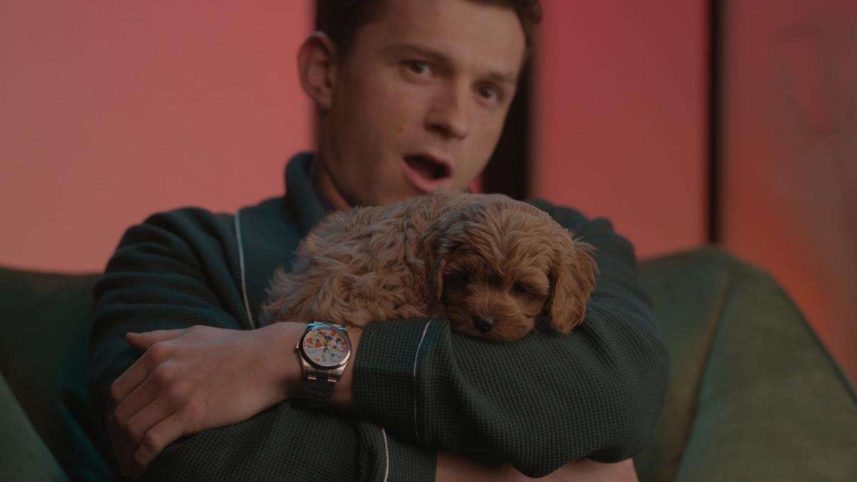 'I'm really spontaneous': Tom Holland bought a puppy without asking Zendaya