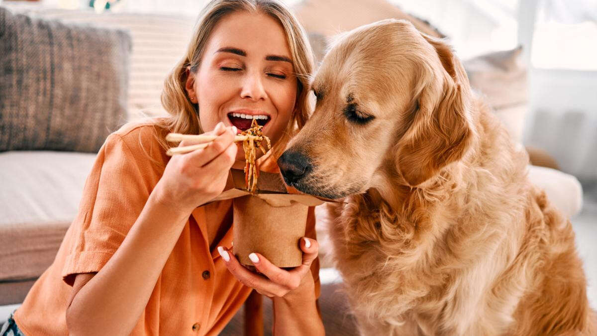 Shared baths and forks with your pets- the new normal