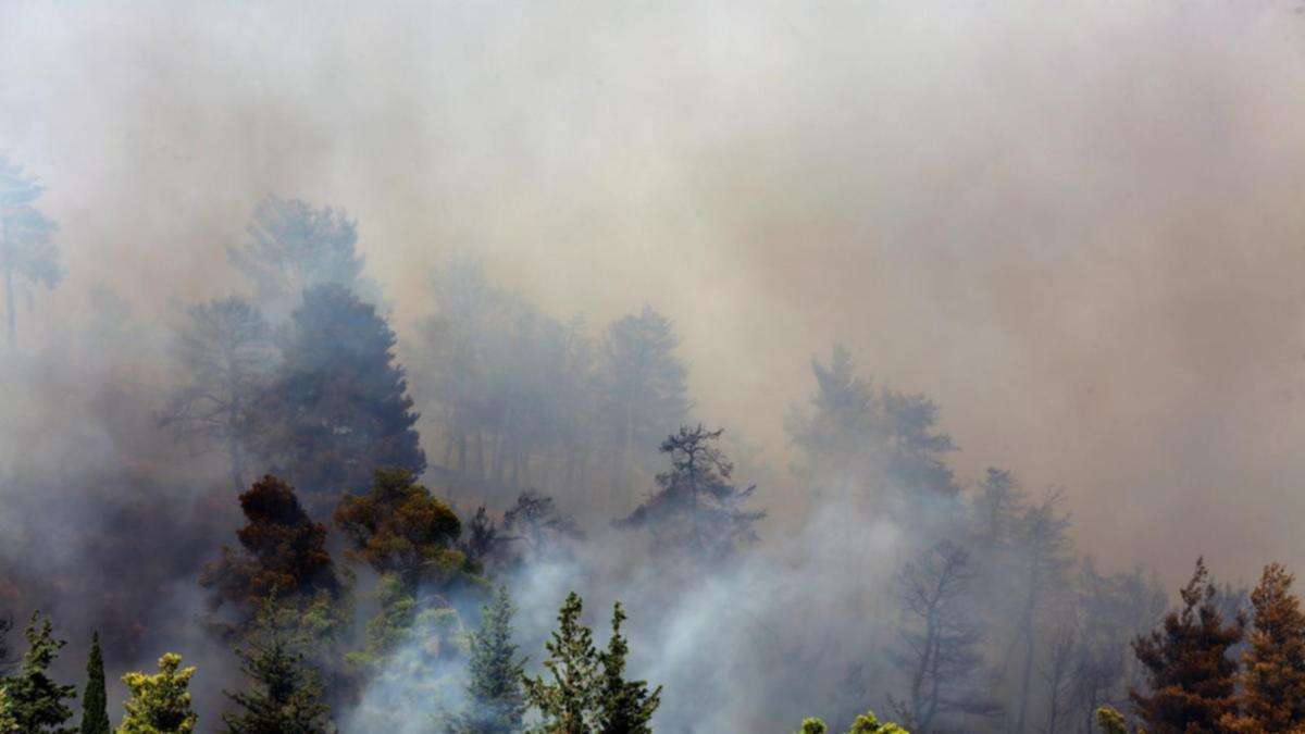 Residents flee uncontrolled wildfire raging near Athens