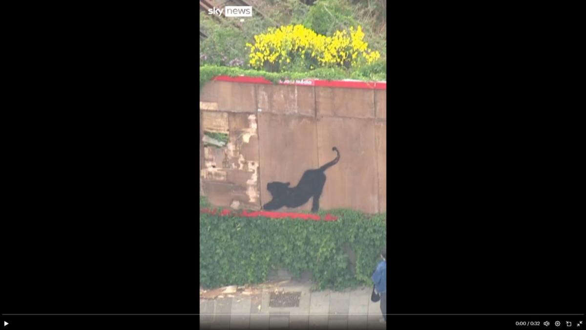 Boos as Banksy’s black cat artwork removed from billboard