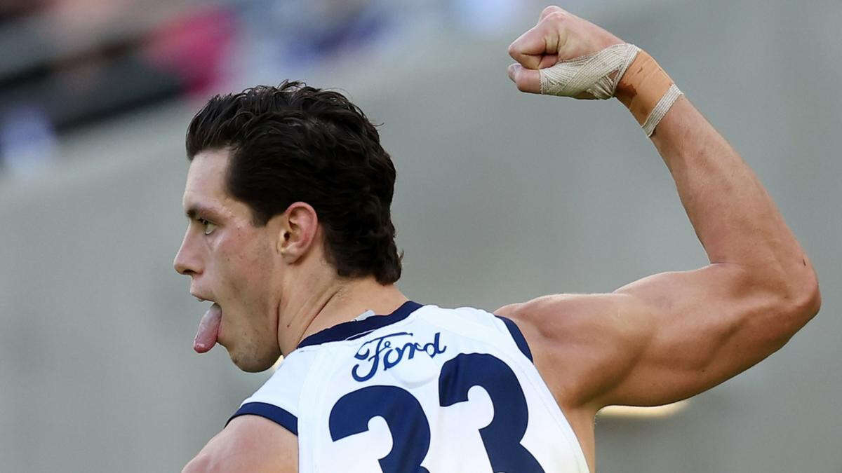 Dockers stumble to costly Cats loss in tense final term