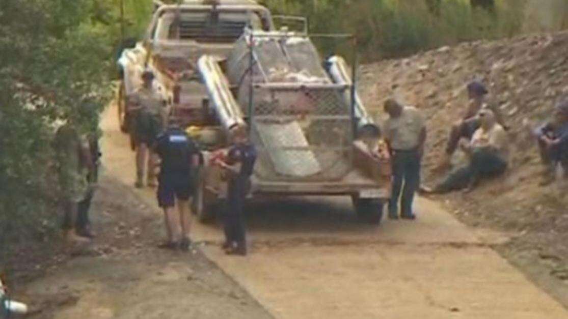 Horror find following crocodile attack