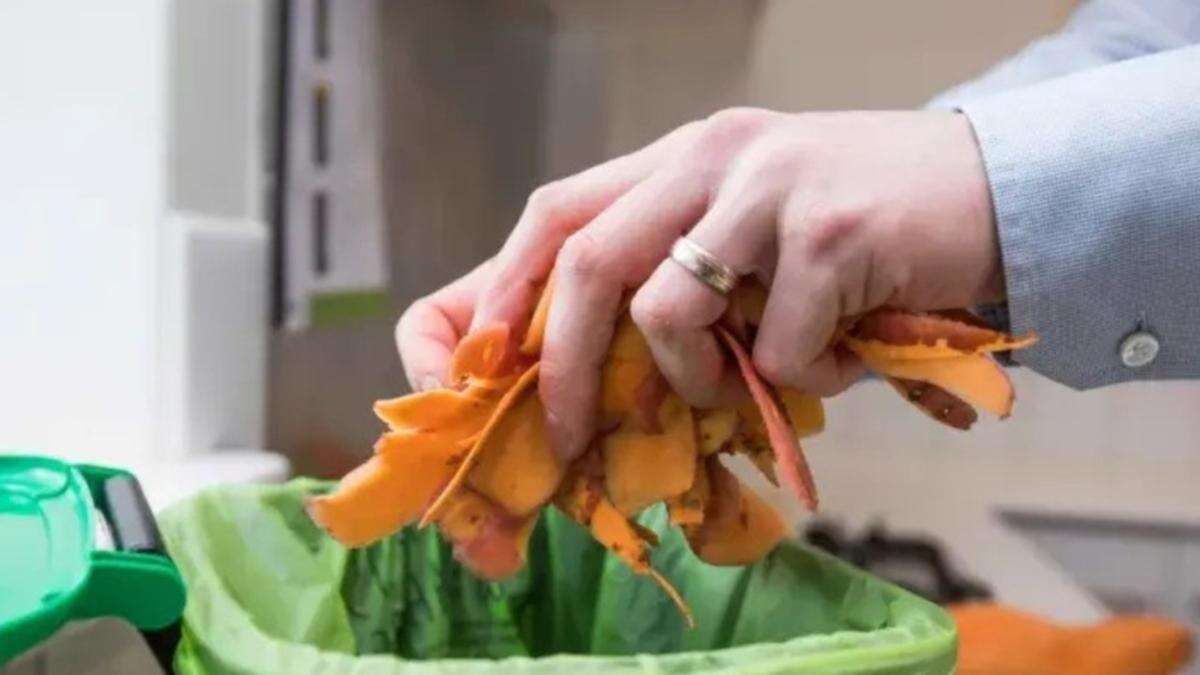 Huge change for millions of Aussie bins