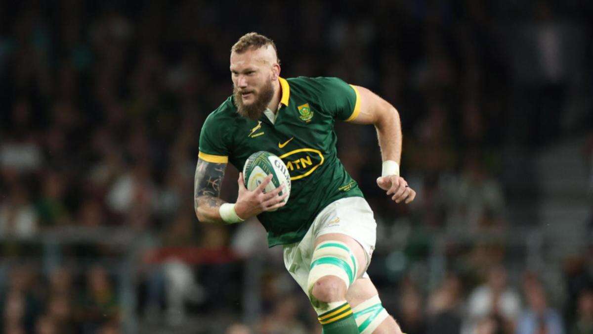 Snyman says Ireland gave Boks ideal prep for Wallabies