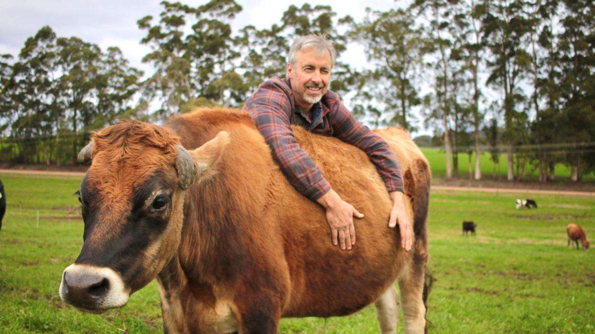 REVEALED: South West beef farm a finalist for national award