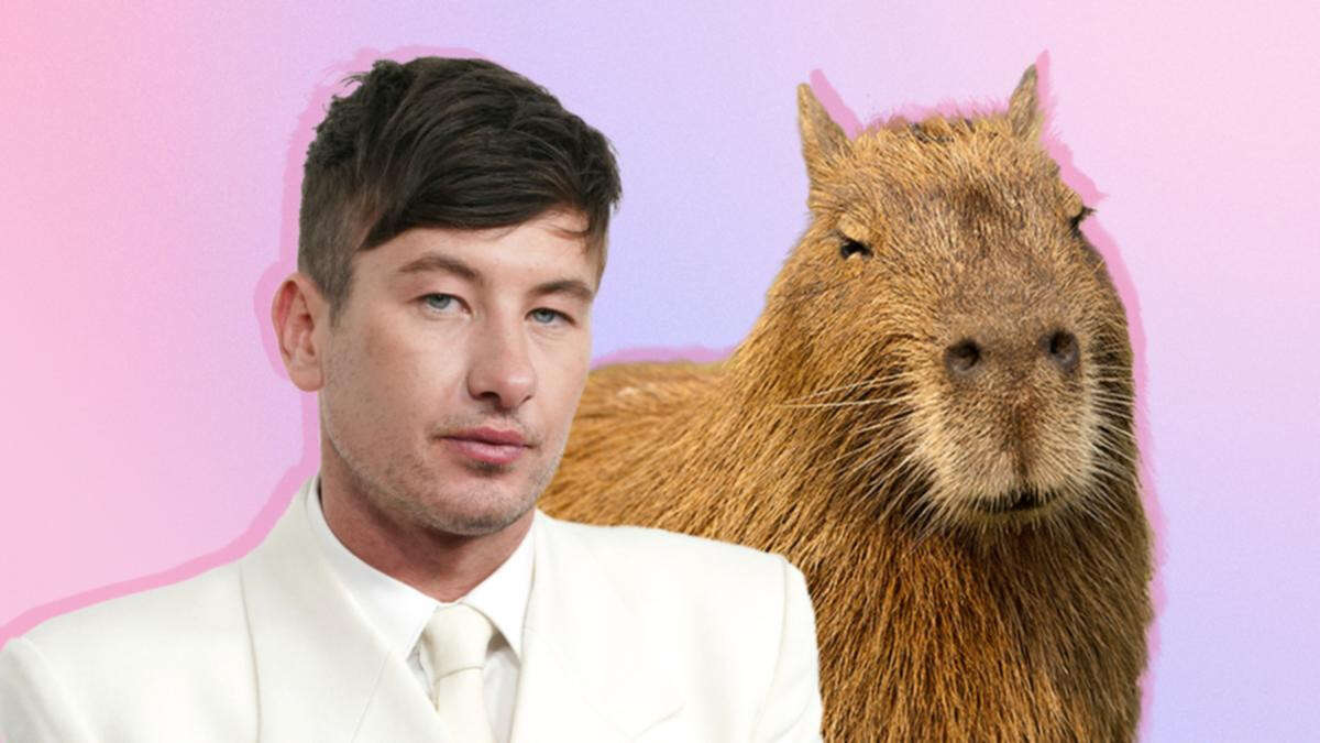 opinionWhy does the internet suddenly want sexy rodent boyfriends?