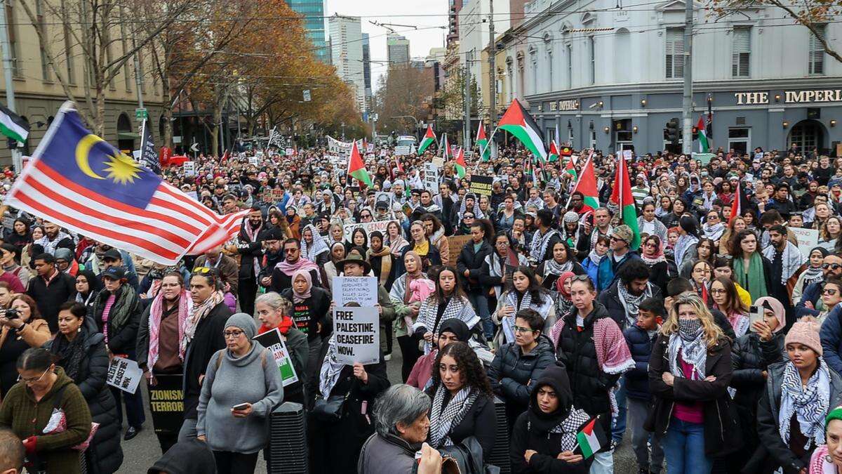 Defiant Bandt hits back at Palestine rally