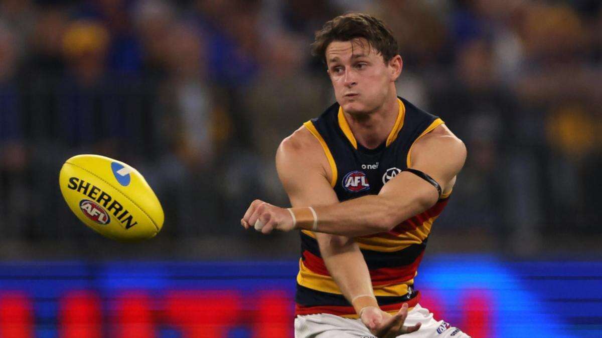 Police probe Adelaide's Crouch for clash with Port fan