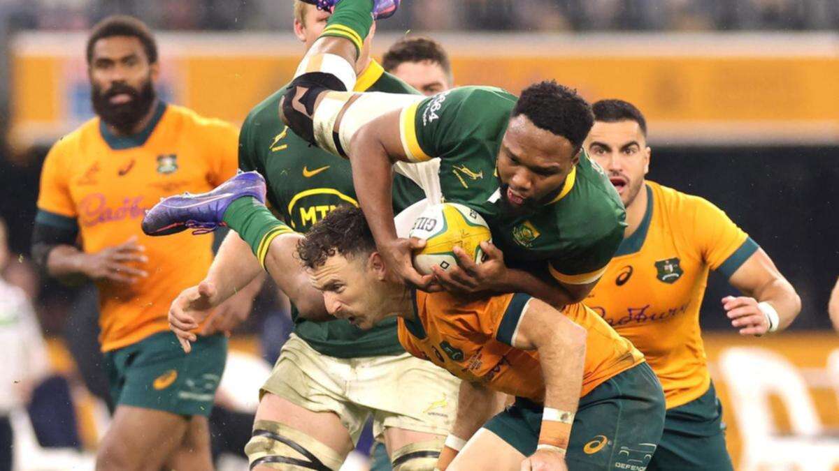 Springboks 'rain' supreme to drown Wallabies' hopes