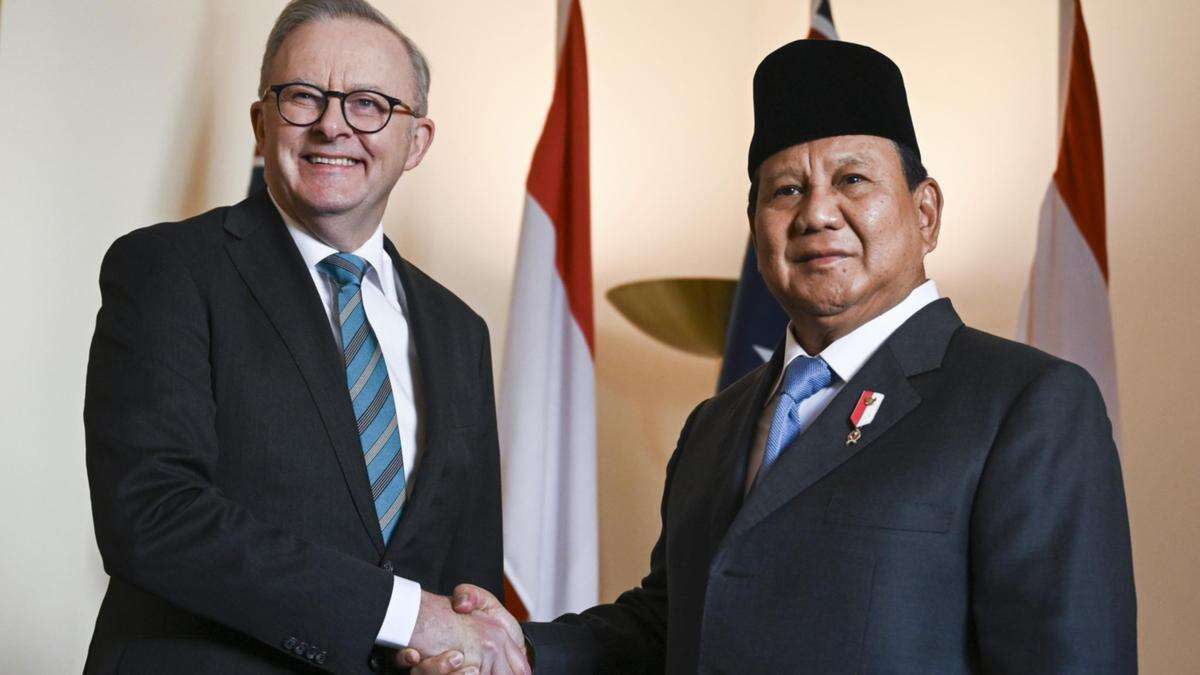 ‘Vital plank’: Albo’s big move with Indonesia