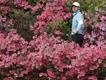 'It just feels different here': what makes the Masters