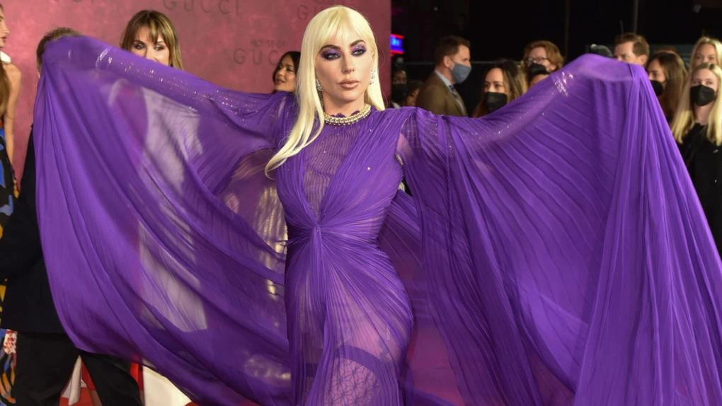 Lady Gaga fans upset over Perth tour snub, Premier weighs in