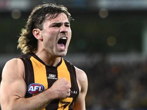 'More anger': Hawks hunt revenge in Port grudge match