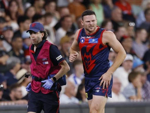 Brownlow winner’s sad career development